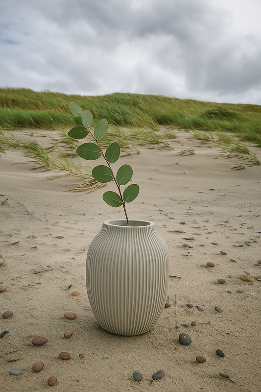White vase with a plant on a sandy beach with grassy dunes in the background