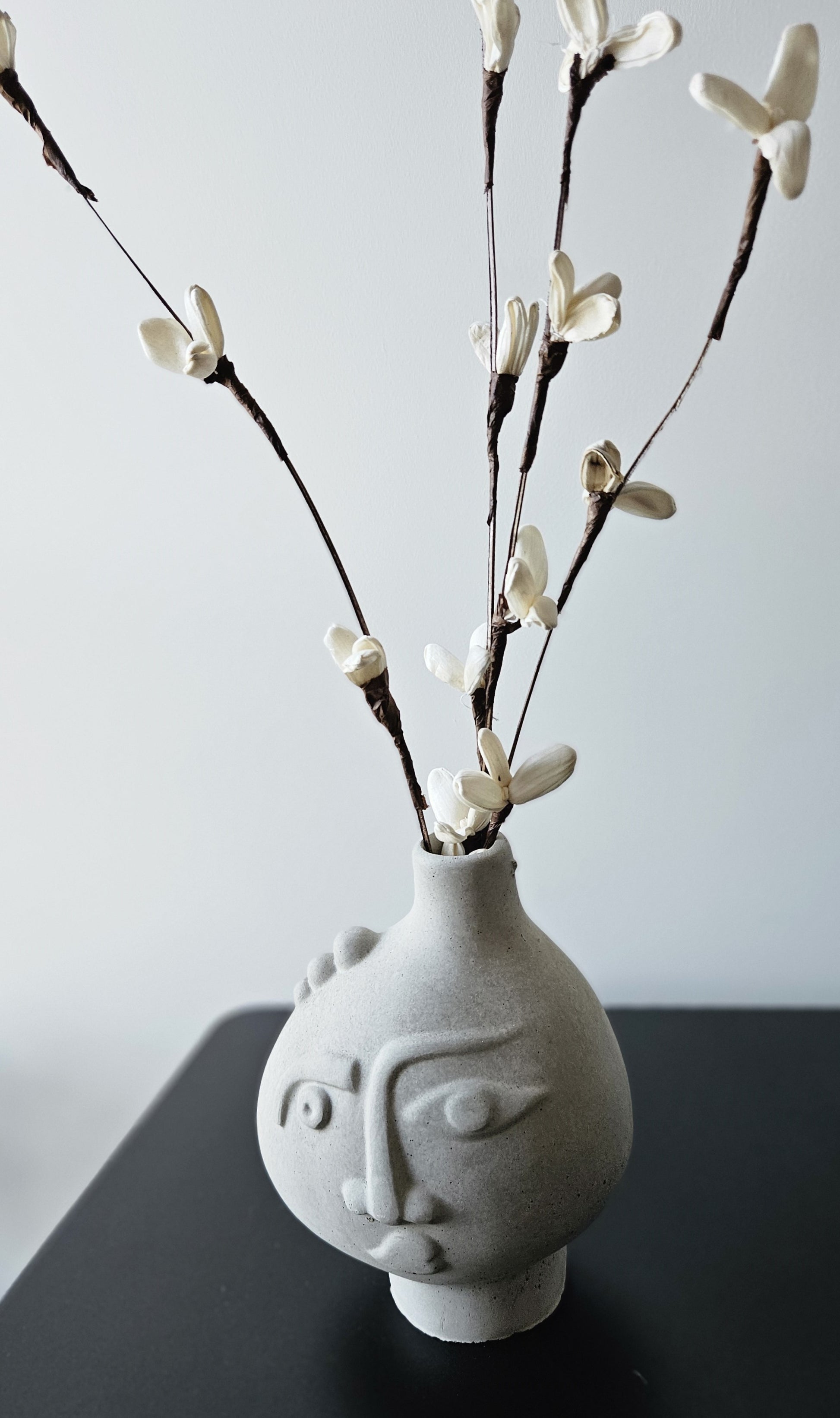 Rankų darbo betoninė vazelė su žmogaus veido reljefu ir sausomis gėlėmis – minimalistinė interjero detalė, tinkanti moderniam ir wabi-sabi stiliaus namų dekorui